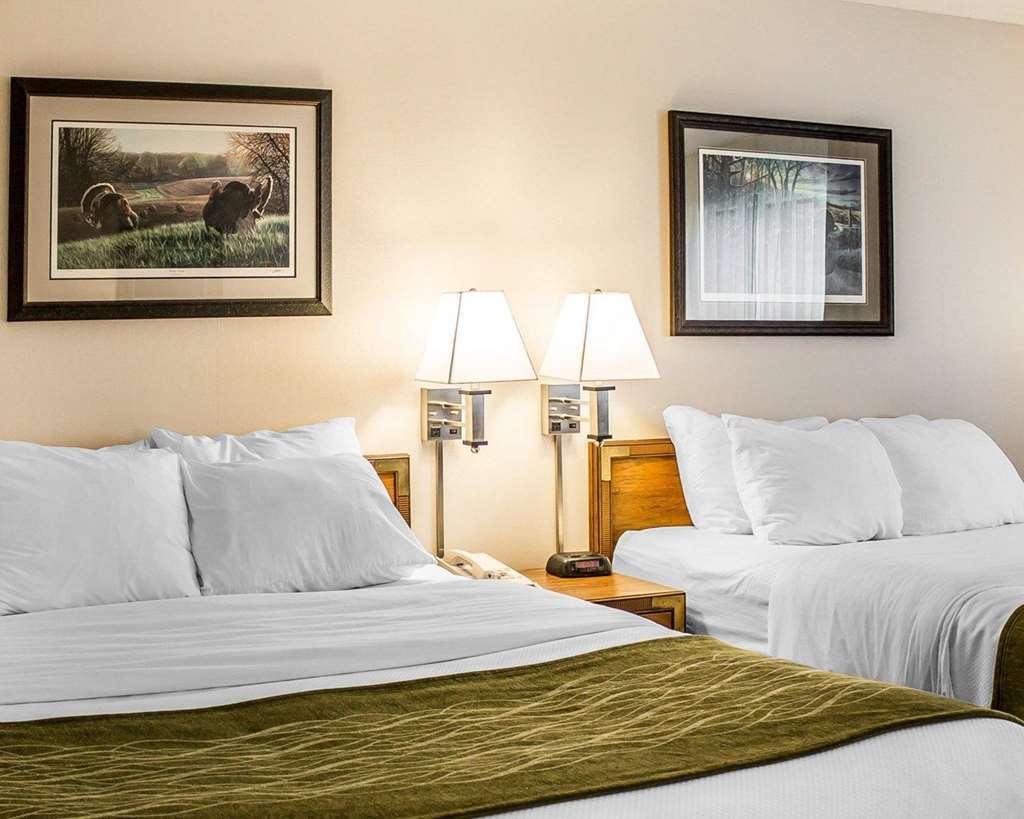 Quality Inn Petoskey-Harbor Springs חדר תמונה